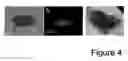 Fig. 05 - Nuclear receptor and mutant thereof and the use of the same in the reprogramming of cells