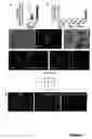 Fig. 10 - Nuclear receptor and mutant thereof and the use of the same in the reprogramming of cells