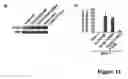 Fig. 12 - Nuclear receptor and mutant thereof and the use of the same in the reprogramming of cells