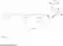 Fig. 32 - Assisted enzyme replacement therapy