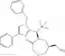 Fig. 114 - CYCLIZED DERIVATIVES AS EG-5 INHIBITORS