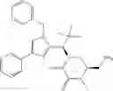 Fig. 91 - CYCLIZED DERIVATIVES AS EG-5 INHIBITORS