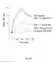 Fig. 29 - Detection of amyloid deposits using anti-amyloid antibodies