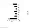 Fig. 31 - Detection of amyloid deposits using anti-amyloid antibodies