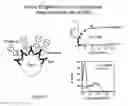 Fig. 49 - TREATMENT OF COMPLEMENT-ASSOCIATED DISORDERS