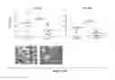 Fig. 70 - TREATMENT OF COMPLEMENT-ASSOCIATED DISORDERS