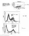 Fig. 09 - TACI AS AN ANTI-TUMOR AGENT
