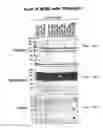 Fig. 11 - TACI AS AN ANTI-TUMOR AGENT