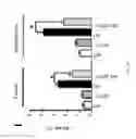 Fig. 06 - METHOD OF TREATING NEURODEGENERATIVE DISEASE
