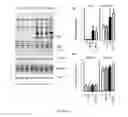 Fig. 21 - METHOD OF TREATING NEURODEGENERATIVE DISEASE