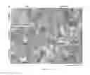 Fig. 48 - METHOD OF TREATING NEURODEGENERATIVE DISEASE