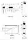 Fig. 10 - Methods and Compositions Related to Soluble Monoclonal Variable Lymphocyte Receptors of Defined Antigen Specificity