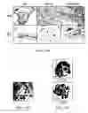 Fig. 18 - Methods and Compositions Related to Soluble Monoclonal Variable Lymphocyte Receptors of Defined Antigen Specificity