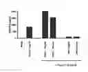 Fig. 06 - Toll Like Receptor 3 Antagonists, Methods and Uses