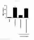 Fig. 07 - Toll Like Receptor 3 Antagonists, Methods and Uses