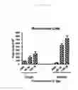 Fig. 16 - Toll Like Receptor 3 Antagonists, Methods and Uses