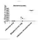 Fig. 24 - Toll Like Receptor 3 Antagonists, Methods and Uses