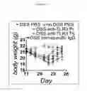 Fig. 41 - Toll Like Receptor 3 Antagonists, Methods and Uses