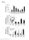 Fig. 02 - Compositions and methods to treat and control tumors
