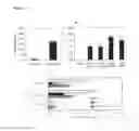 Fig. 03 - Compositions and methods to treat and control tumors