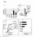 Fig. 06 - Compositions and methods to treat and control tumors