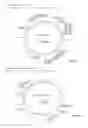 Fig. 03 - Mutated env sequence involved in the modulation of the immunosuppressive effect of viral proteins