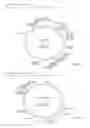 Fig. 04 - Mutated env sequence involved in the modulation of the immunosuppressive effect of viral proteins
