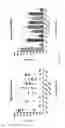 Fig. 02 - Vaccines and compositions against 
