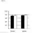 Fig. 14 - Reverse genetics using non-endogenous pol I promoters