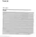 Fig. 18 - Chimeric influenza virus-like particles comprising hemagglutinin