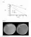 Fig. 08 - Vaccines comprising heat-sensitive transgenes