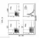 Fig. 13 - METHOD OF PRODUCING A MEDICAL COMPOSITION