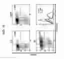 Fig. 15 - METHOD OF PRODUCING A MEDICAL COMPOSITION