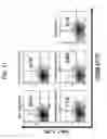 Fig. 22 - METHOD OF PRODUCING A MEDICAL COMPOSITION