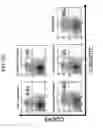 Fig. 23 - METHOD OF PRODUCING A MEDICAL COMPOSITION