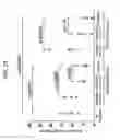 Fig. 28 - METHOD OF PRODUCING A MEDICAL COMPOSITION