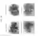 Fig. 29 - METHOD OF PRODUCING A MEDICAL COMPOSITION