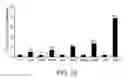 Fig. 13 - Cancer stem cell antigen vaccines and methods