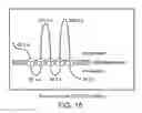 Fig. 16 - Cancer stem cell antigen vaccines and methods