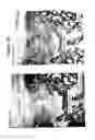 Fig. 04 - Solid forms for tissue repair