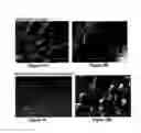 Fig. 10 - Solid forms for tissue repair