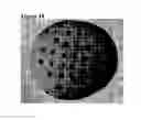 Fig. 11 - Solid forms for tissue repair