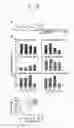 Fig. 35 - POLYPEPTIDES AND USES THEREOF