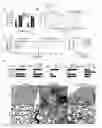 Fig. 42 - POLYPEPTIDES AND USES THEREOF