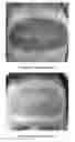 Fig. 01 - FORMULATIONS