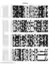 Fig. 06 - FORMULATIONS