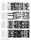 Fig. 07 - FORMULATIONS