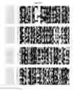 Fig. 08 - FORMULATIONS