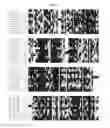 Fig. 09 - FORMULATIONS
