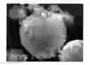 Fig. 01 - METHOD FOR COATING POWDERS